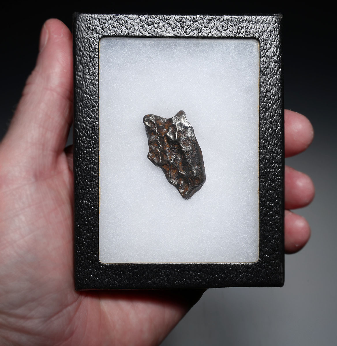 28.7 GRAM SIKHOTE-ALIN METEORITE WITH THUMBPRINT REGMAGLYPTS FUSION CRUST AND SIGNS OF ATMOSPHERIC ABLATION  *MX1