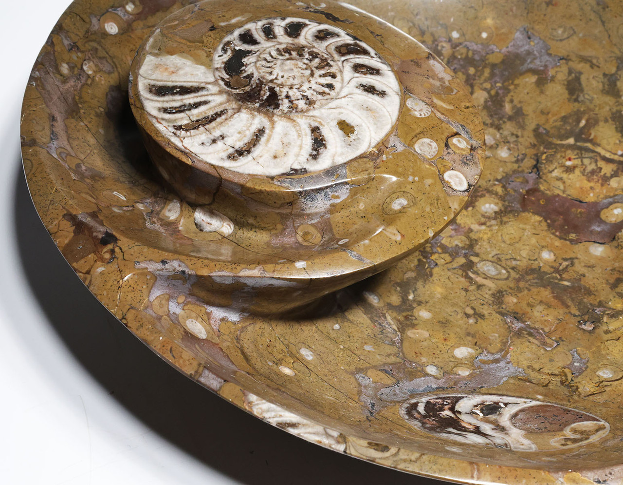 PREMIUM LARGE ONE-OF-A-KIND HAND CARVED 400 MILLION YEAR FOSSIL STONE BOWL WITH GONIATITE AMMONITE FOSSILS  *FB1