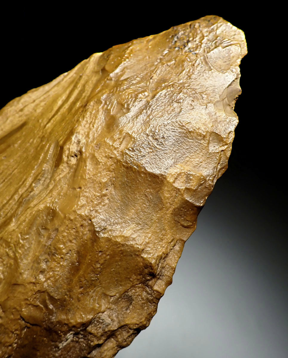 UNUSUALLY LARGE GOLDEN INVESTMENT-CLASS AMYGDALOID ACHEULEAN HAND AXE MADE BY HOMO ERGASTER FROM STONE AGE AFRICA  *ACH475