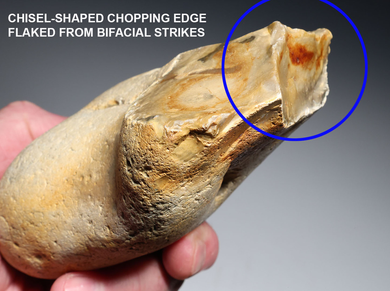 FINEST MAXIMUM SIZE INVESTMENT-CLASS OLDOWAN FLINT PEBBLE AXE FROM WIMEREUX LOWER PALEOLITHIC FRANCE  *PB230