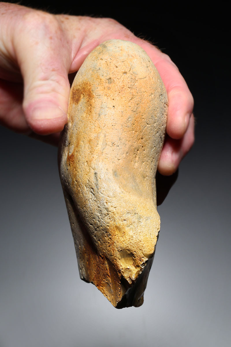 FINEST MAXIMUM SIZE INVESTMENT-CLASS OLDOWAN FLINT PEBBLE AXE FROM WIMEREUX LOWER PALEOLITHIC FRANCE  *PB230
