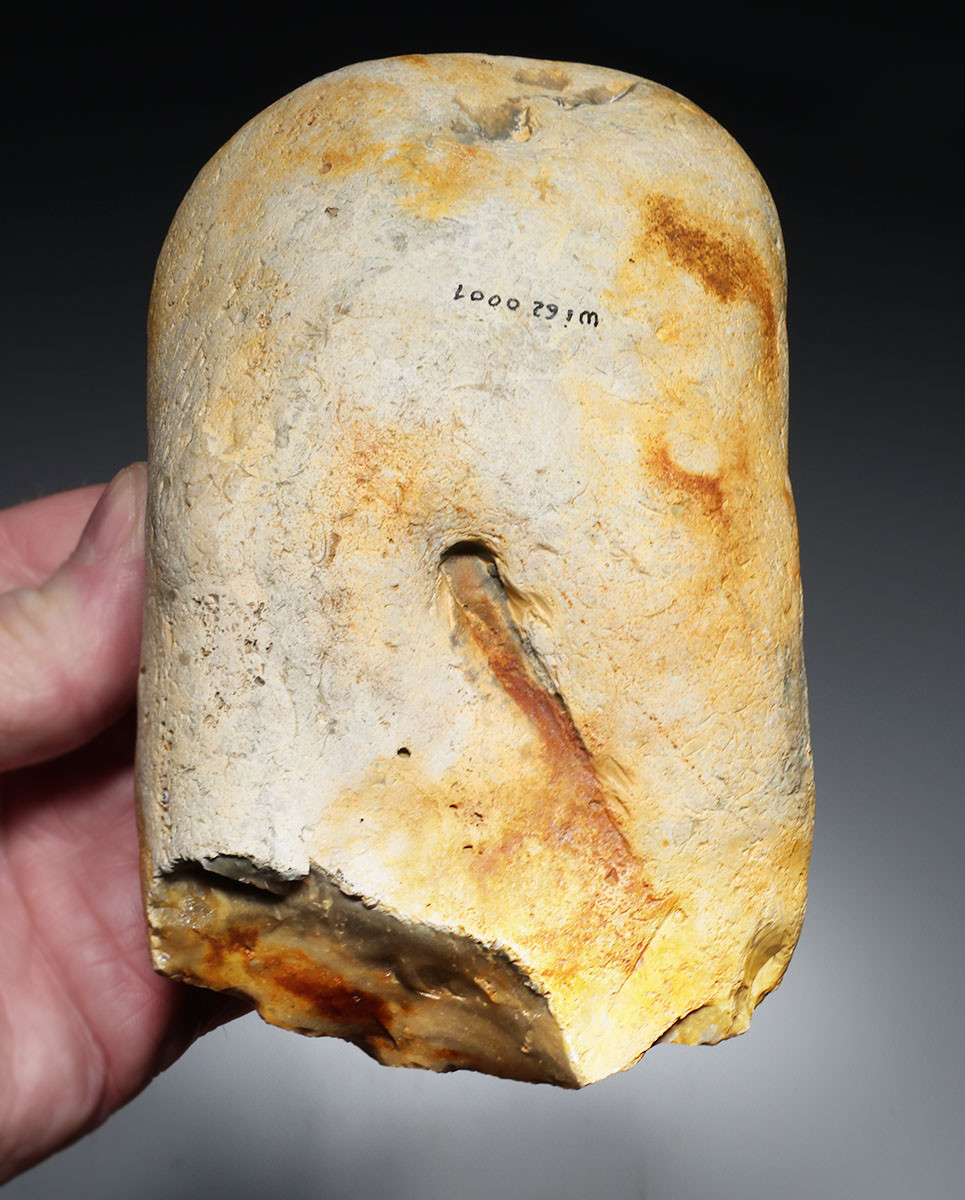 FINEST MAXIMUM SIZE INVESTMENT-CLASS OLDOWAN FLINT PEBBLE AXE FROM WIMEREUX LOWER PALEOLITHIC FRANCE  *PB230