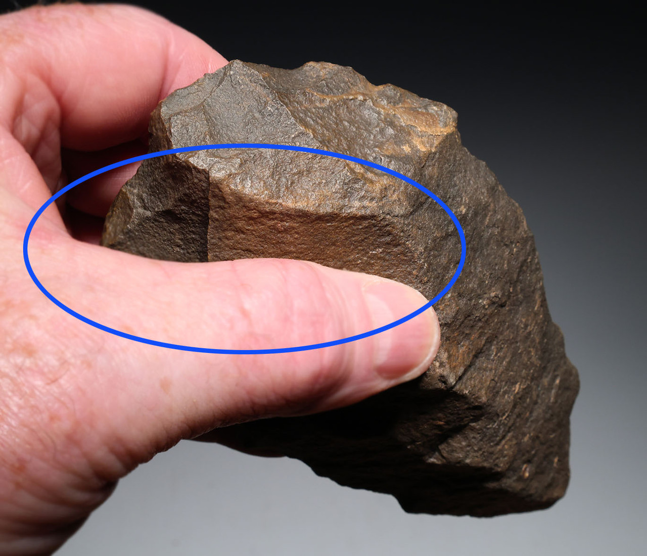 SUPERB LOWER PALEOLITHIC AFRICA ACHEULEAN UNIFACIAL HAND AXE MADE BY HOMO ERGASTER  *ACH493