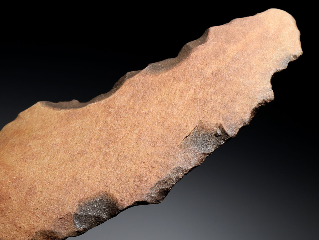 OLDEST PREHISTORIC STONE AGE KNIFE ACHEULEAN LOWER PALEOLITHIC BLADE MADE BY HOMO ERGASTER (ERECTUS) FROM AFRICA  *ACH495