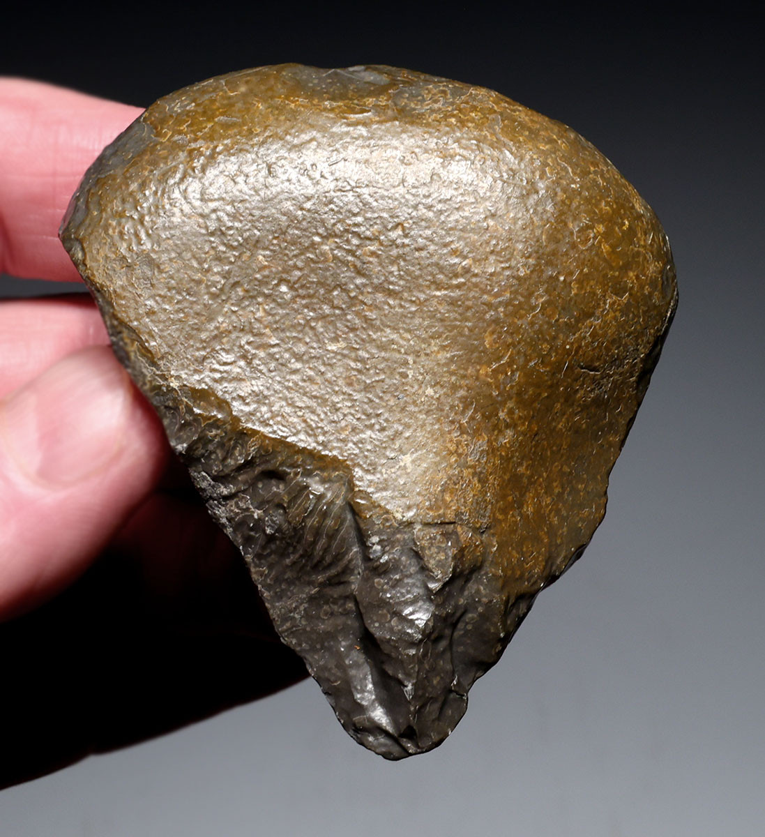 MUSEUM-CLASS TENERE DESERT AFRICA HOMO ERGASTER MODE 1 OLDOWAN PEBBLE CHOPPER AXE WITH INTACT POINTED TIP - OLDEST HUMAN TOOL  *PB229
