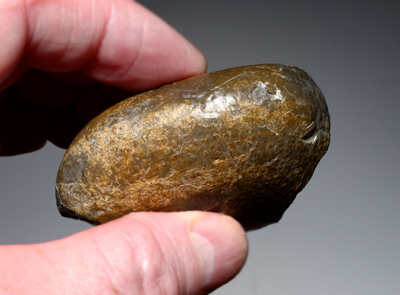 MUSEUM-CLASS TENERE DESERT AFRICA HOMO ERGASTER MODE 1 OLDOWAN PEBBLE CHOPPER AXE WITH INTACT POINTED TIP - OLDEST HUMAN TOOL  *PB229