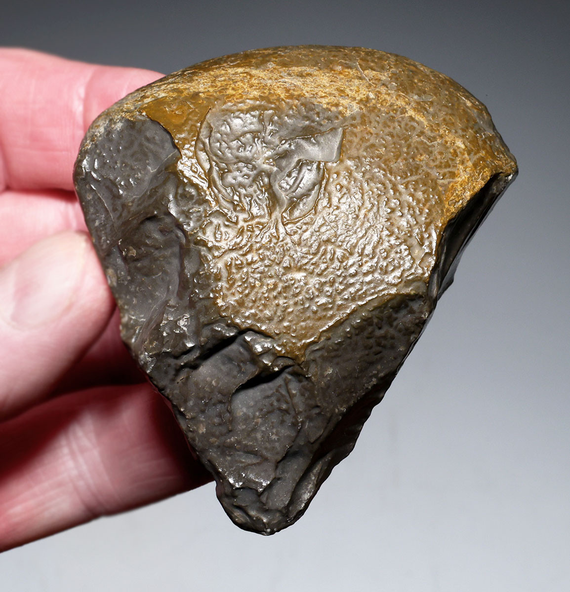 MUSEUM-CLASS TENERE DESERT AFRICA HOMO ERGASTER MODE 1 OLDOWAN PEBBLE CHOPPER AXE WITH INTACT POINTED TIP - OLDEST HUMAN TOOL  *PB229