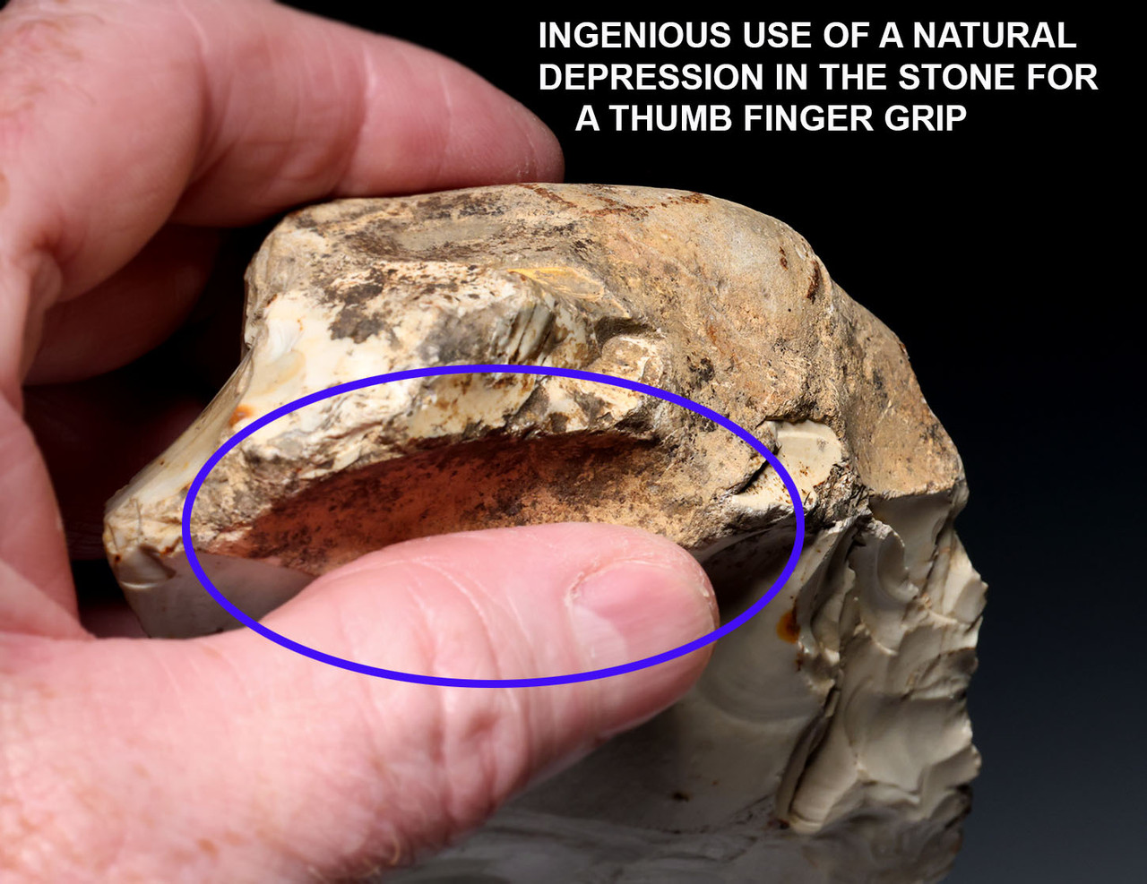 SPECTACULAR IVORY WHITE PREHISTORIC FLINT HOMO HEIDELBERGENSIS ACHEULEAN HAND AXE FROM LOWER PALEOLITHIC BELGIUM  *ACH500