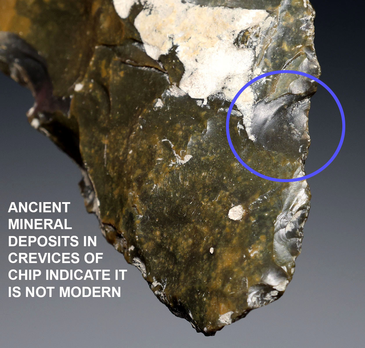 EXCEPTIONAL OLIVE BROWN FLINT HOMO ERECTUS PREHISTORIC ACHEULEAN BIFACE HAND AXE FROM FRANCE  *ACH499