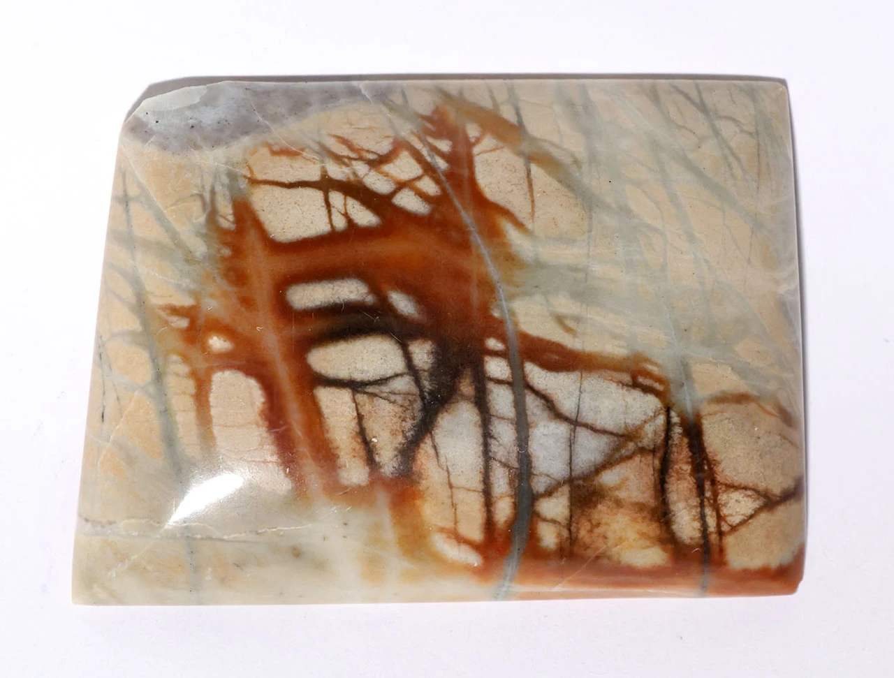 LARGE PICASSO MARBLE (JASPER) CABOCHON GEMSTONE  *G17