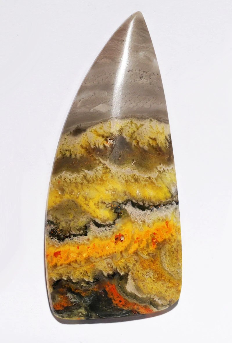 LARGE EXCEPTIONAL BUMBLEBEE JASPER CABOCHON GEMSTONE  *G33