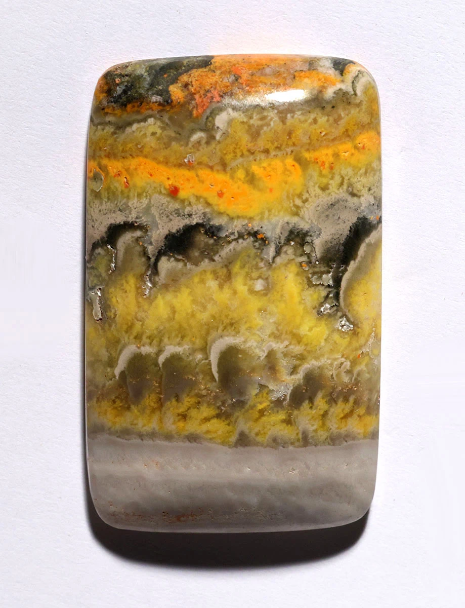LARGE EXCEPTIONAL BUMBLEBEE JASPER CABOCHON GEMSTONE  *G37