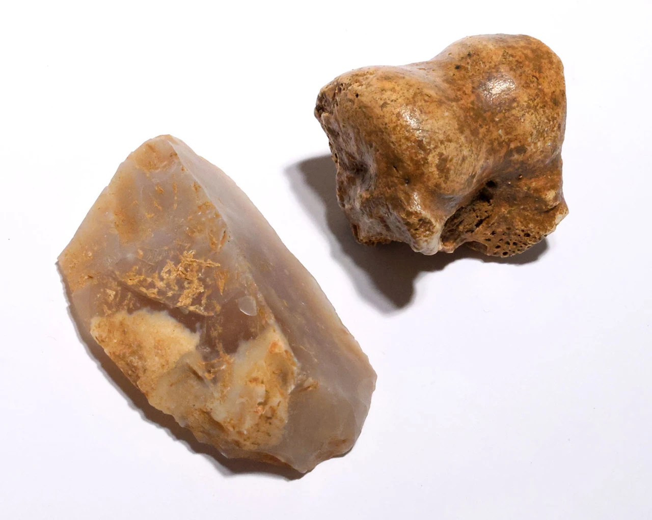 CRO MAGNON AURIGNACIAN UPPER PALEOLITHIC FLINT KNIFE FLAKE TOOL WITH BUTCHERED MEGAFAUNA FOSSIL BONE FROM FAMOUS LA GANE SITE IN FRANCE  *UP096