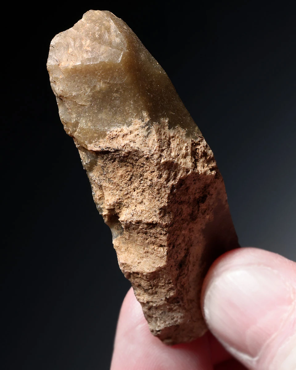 CRO MAGNON AURIGNACIAN UPPER PALEOLITHIC FLINT KNIFE BLADE FLAKE TOOL WITH BUTCHERED MEGAFAUNA FOSSIL BONE FROM FAMOUS LA GANE SITE IN FRANCE  *UP087