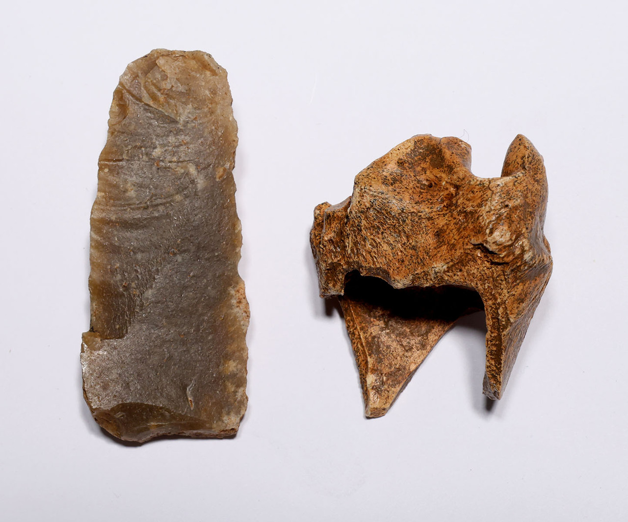 CRO MAGNON AURIGNACIAN UPPER PALEOLITHIC FLINT KNIFE BLADE FLAKE TOOL WITH BUTCHERED MEGAFAUNA FOSSIL BONE FROM FAMOUS LA GANE SITE IN FRANCE  *UP087