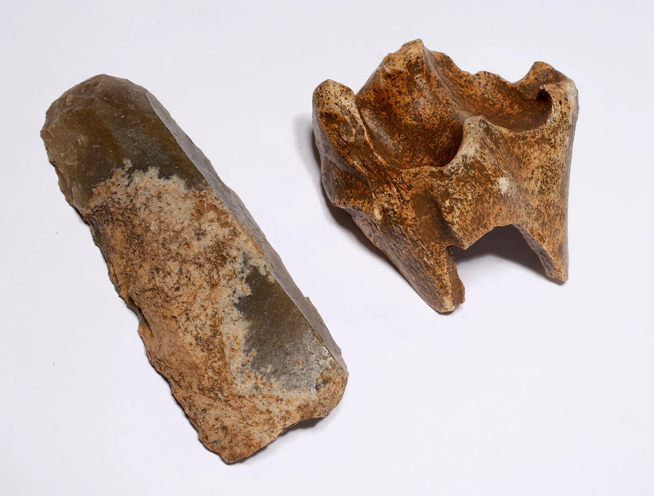 CRO MAGNON AURIGNACIAN UPPER PALEOLITHIC FLINT KNIFE BLADE FLAKE TOOL WITH BUTCHERED MEGAFAUNA FOSSIL BONE FROM FAMOUS LA GANE SITE IN FRANCE  *UP087
