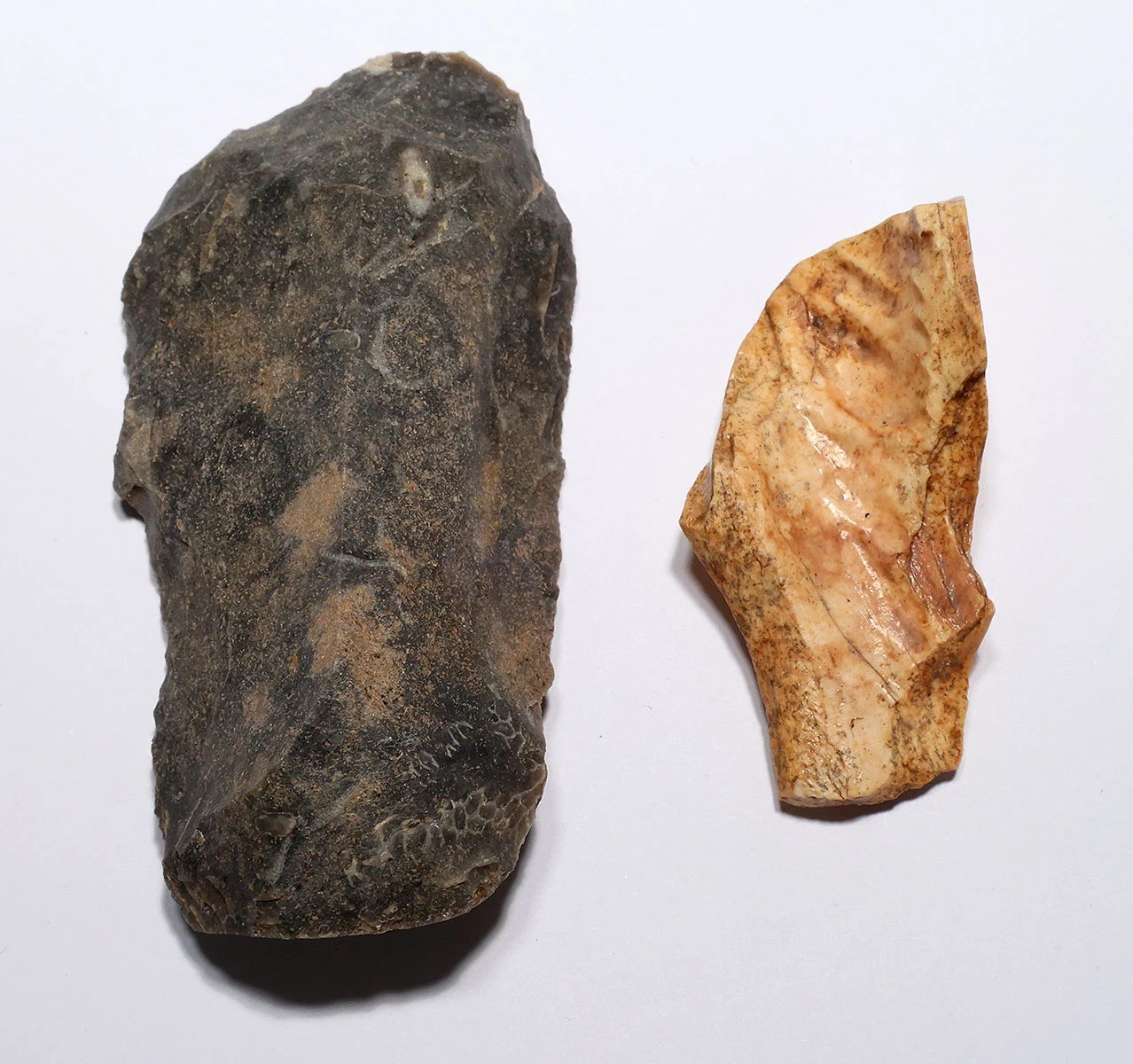 CRO MAGNON AURIGNACIAN UPPER PALEOLITHIC LARGE FLINT KNIFE BLADE FLAKE TOOL WITH BUTCHERED MEGAFAUNA FOSSIL BONE FROM FAMOUS LA GANE SITE IN FRANCE  *UP086
