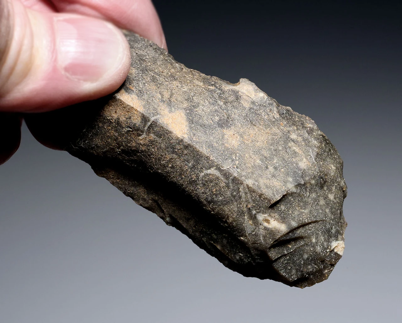 CRO MAGNON AURIGNACIAN UPPER PALEOLITHIC LARGE FLINT KNIFE BLADE FLAKE TOOL WITH BUTCHERED MEGAFAUNA FOSSIL BONE FROM FAMOUS LA GANE SITE IN FRANCE  *UP086