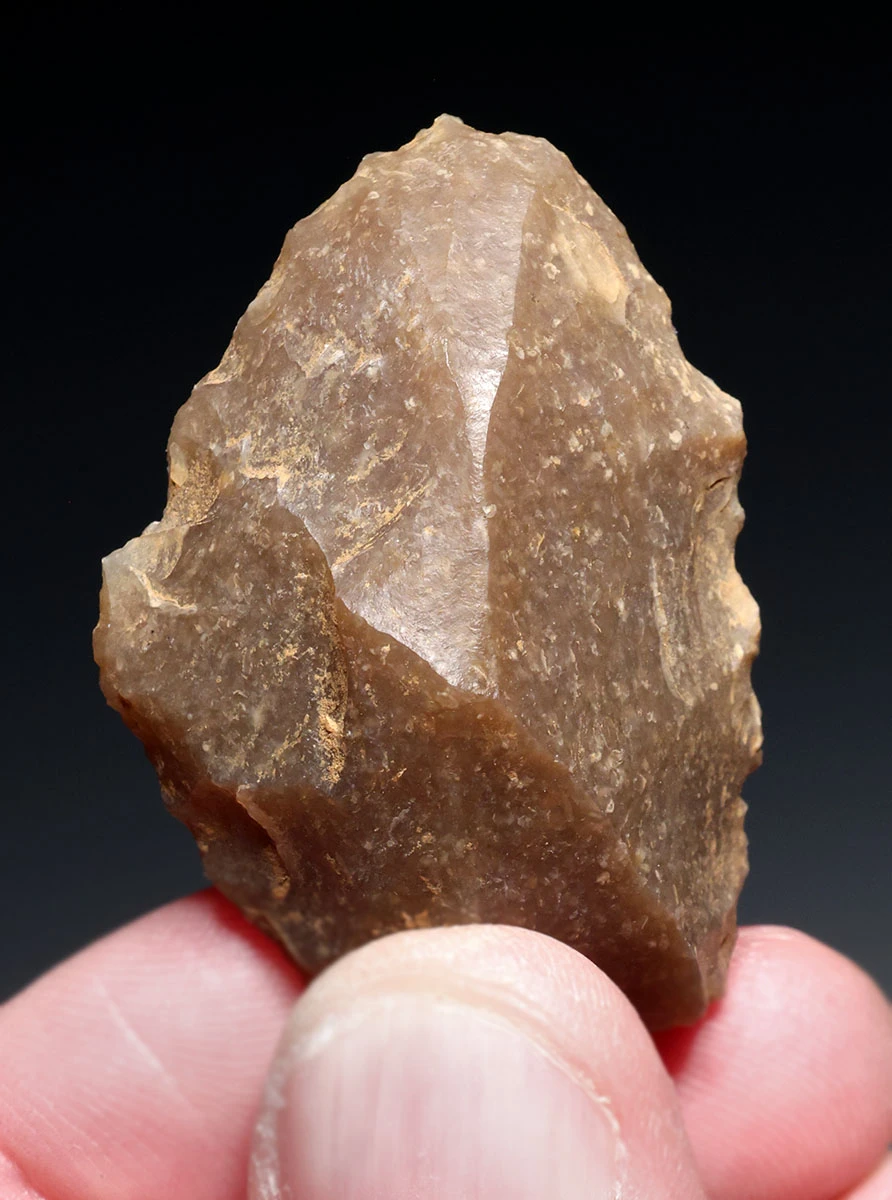 CRO MAGNON AURIGNACIAN UPPER PALEOLITHIC FLINT RABOT PLANER FLAKE TOOL WITH BUTCHERED MEGAFAUNA FOSSIL BONE FROM FAMOUS LA GANE SITE IN FRANCE  *UP093
