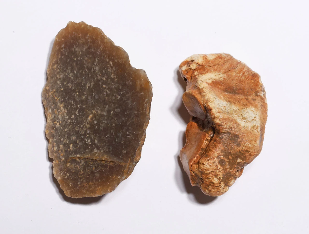 CRO MAGNON AURIGNACIAN UPPER PALEOLITHIC FLINT RABOT PLANER FLAKE TOOL WITH BUTCHERED MEGAFAUNA FOSSIL BONE FROM FAMOUS LA GANE SITE IN FRANCE  *UP093