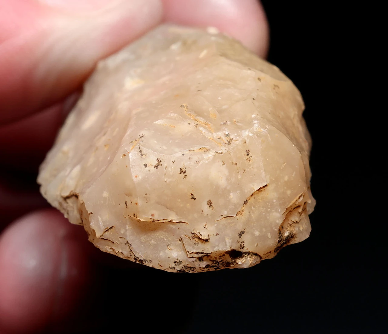 CRO MAGNON AURIGNACIAN UPPER PALEOLITHIC FLINT KNIFE FLAKE TOOL WITH BUTCHERED MEGAFAUNA FOSSIL BONES FROM FAMOUS LA GANE SITE IN FRANCE  *UP092