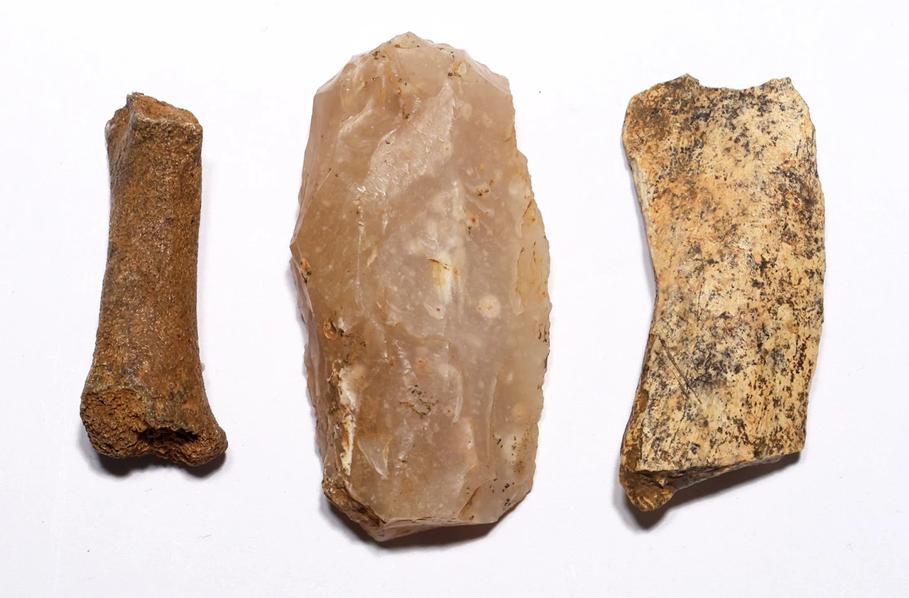 CRO MAGNON AURIGNACIAN UPPER PALEOLITHIC FLINT KNIFE FLAKE TOOL WITH BUTCHERED MEGAFAUNA FOSSIL BONES FROM FAMOUS LA GANE SITE IN FRANCE  *UP092