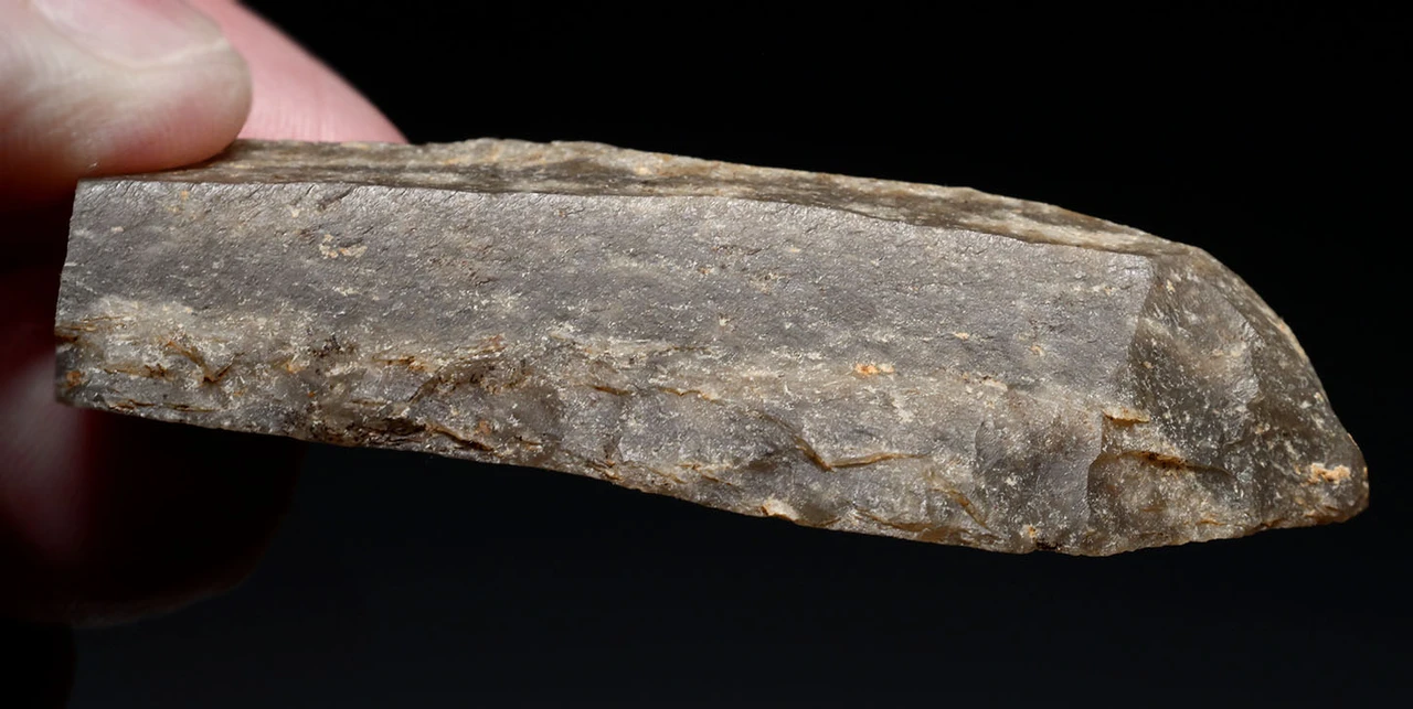 CRO MAGNON AURIGNACIAN UPPER PALEOLITHIC LARGE FLINT BLADE KNIFE TOOL WITH BUTCHERED MEGAFAUNA FOSSIL BONES FROM FAMOUS LA GANE SITE IN FRANCE  *UP088