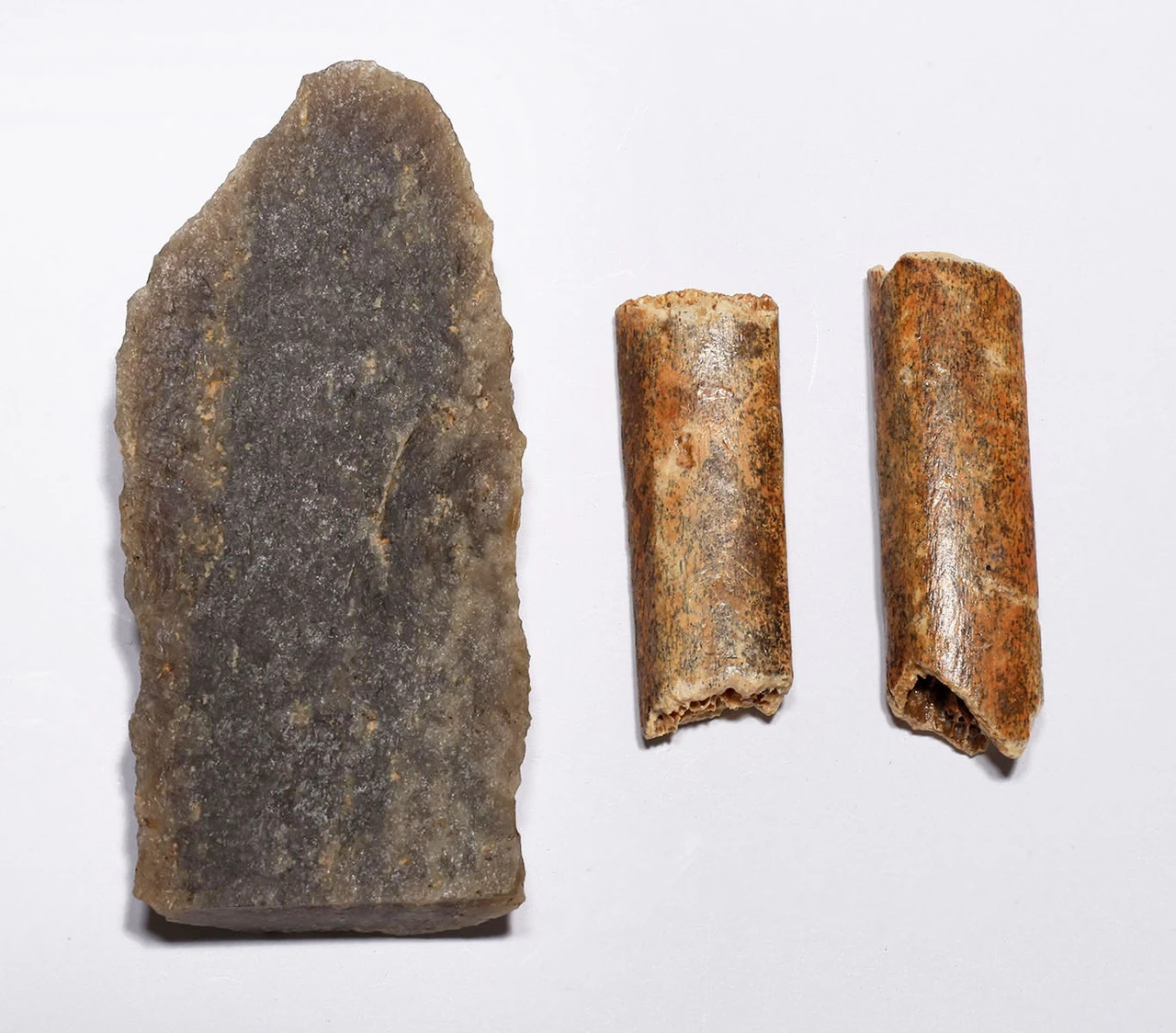 CRO MAGNON AURIGNACIAN UPPER PALEOLITHIC LARGE FLINT BLADE KNIFE TOOL WITH BUTCHERED MEGAFAUNA FOSSIL BONES FROM FAMOUS LA GANE SITE IN FRANCE  *UP088