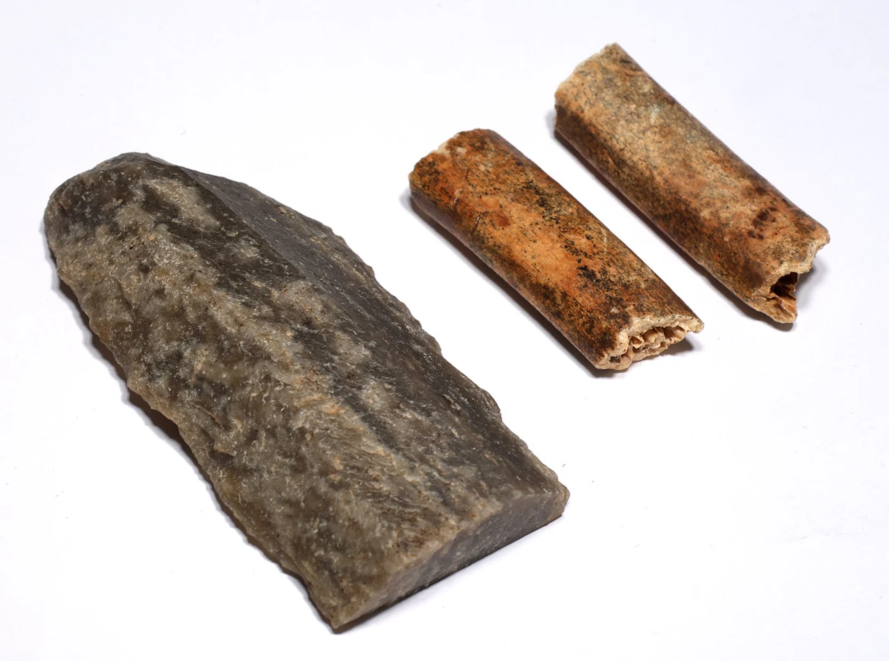 CRO MAGNON AURIGNACIAN UPPER PALEOLITHIC LARGE FLINT BLADE KNIFE TOOL WITH BUTCHERED MEGAFAUNA FOSSIL BONES FROM FAMOUS LA GANE SITE IN FRANCE  *UP088