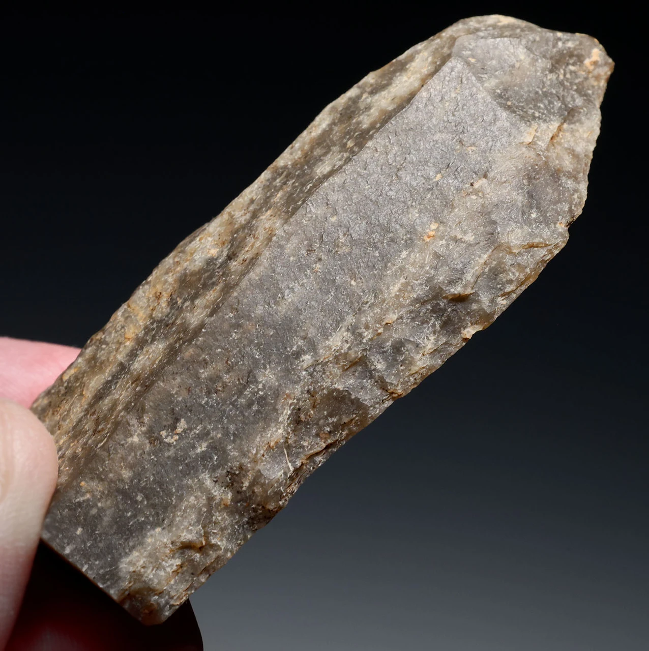 CRO MAGNON AURIGNACIAN UPPER PALEOLITHIC LARGE FLINT BLADE KNIFE TOOL WITH BUTCHERED MEGAFAUNA FOSSIL BONES FROM FAMOUS LA GANE SITE IN FRANCE  *UP088