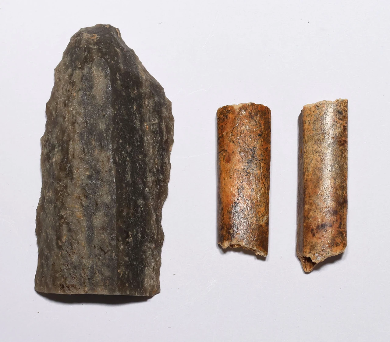 CRO MAGNON AURIGNACIAN UPPER PALEOLITHIC LARGE FLINT BLADE KNIFE TOOL WITH BUTCHERED MEGAFAUNA FOSSIL BONES FROM FAMOUS LA GANE SITE IN FRANCE  *UP088