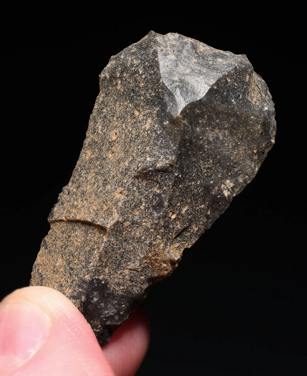 CRO MAGNON AURIGNACIAN UPPER PALEOLITHIC FLINT SCRAPER FLAKE TOOL WITH BUTCHERED FOSSIL HORSE TOOTH FROM FAMOUS LA GANE SITE IN FRANCE  *UP089