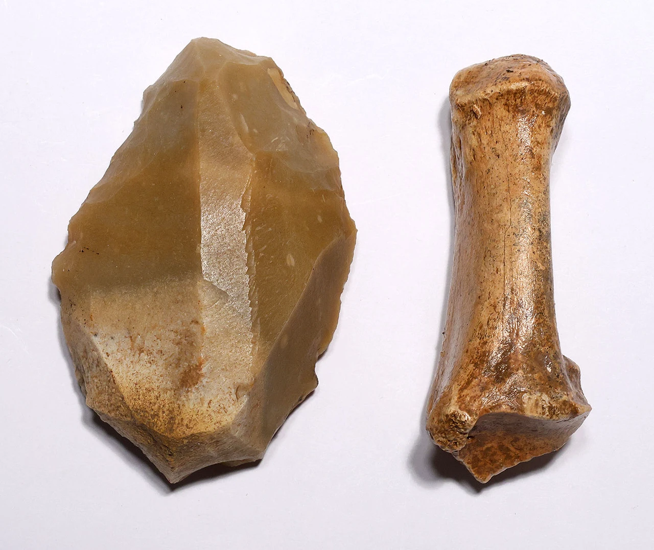 EXCEPTIONAL CRO MAGNON AURIGNACIAN UPPER PALEOLITHIC FLINT RABOT PLANER FLAKE TOOL WITH BUTCHERED MEGAFAUNA FOSSIL BONE FROM FAMOUS LA GANE SITE IN FRANCE  *UP091