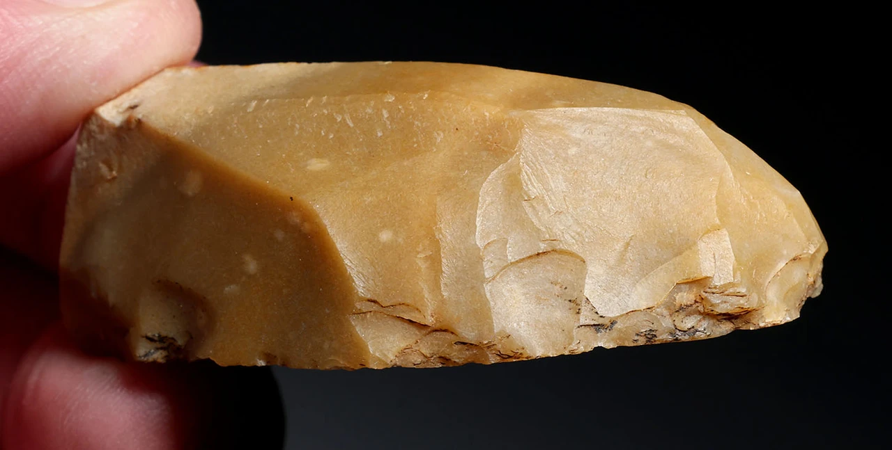 EXCEPTIONAL CRO MAGNON AURIGNACIAN UPPER PALEOLITHIC FLINT RABOT PLANER FLAKE TOOL WITH BUTCHERED MEGAFAUNA FOSSIL BONE FROM FAMOUS LA GANE SITE IN FRANCE  *UP091