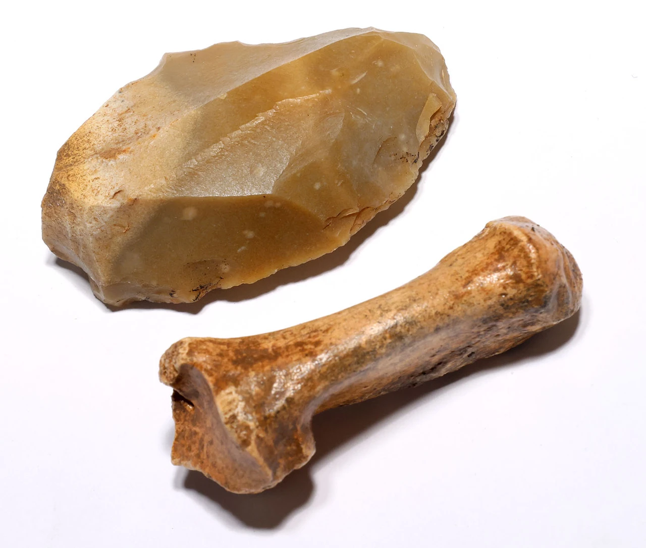 EXCEPTIONAL CRO MAGNON AURIGNACIAN UPPER PALEOLITHIC FLINT RABOT PLANER FLAKE TOOL WITH BUTCHERED MEGAFAUNA FOSSIL BONE FROM FAMOUS LA GANE SITE IN FRANCE  *UP091
