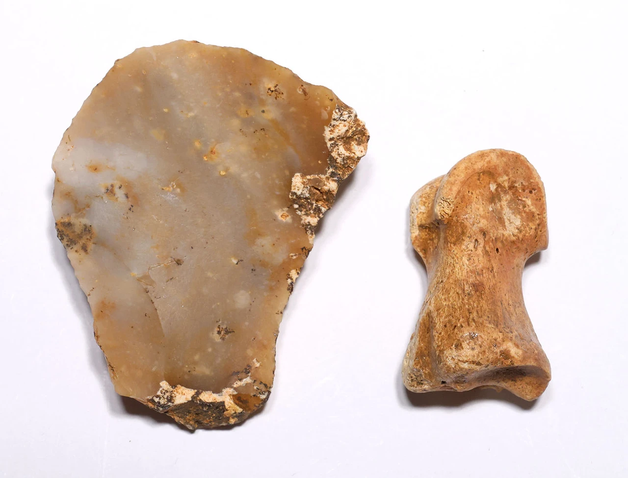 SUPERB CRO MAGNON AURIGNACIAN UPPER PALEOLITHIC FLINT RABOT PLANER FLAKE TOOL WITH BUTCHERED MEGAFAUNA FOSSIL BONE FROM FAMOUS LA GANE SITE IN FRANCE  *UP094