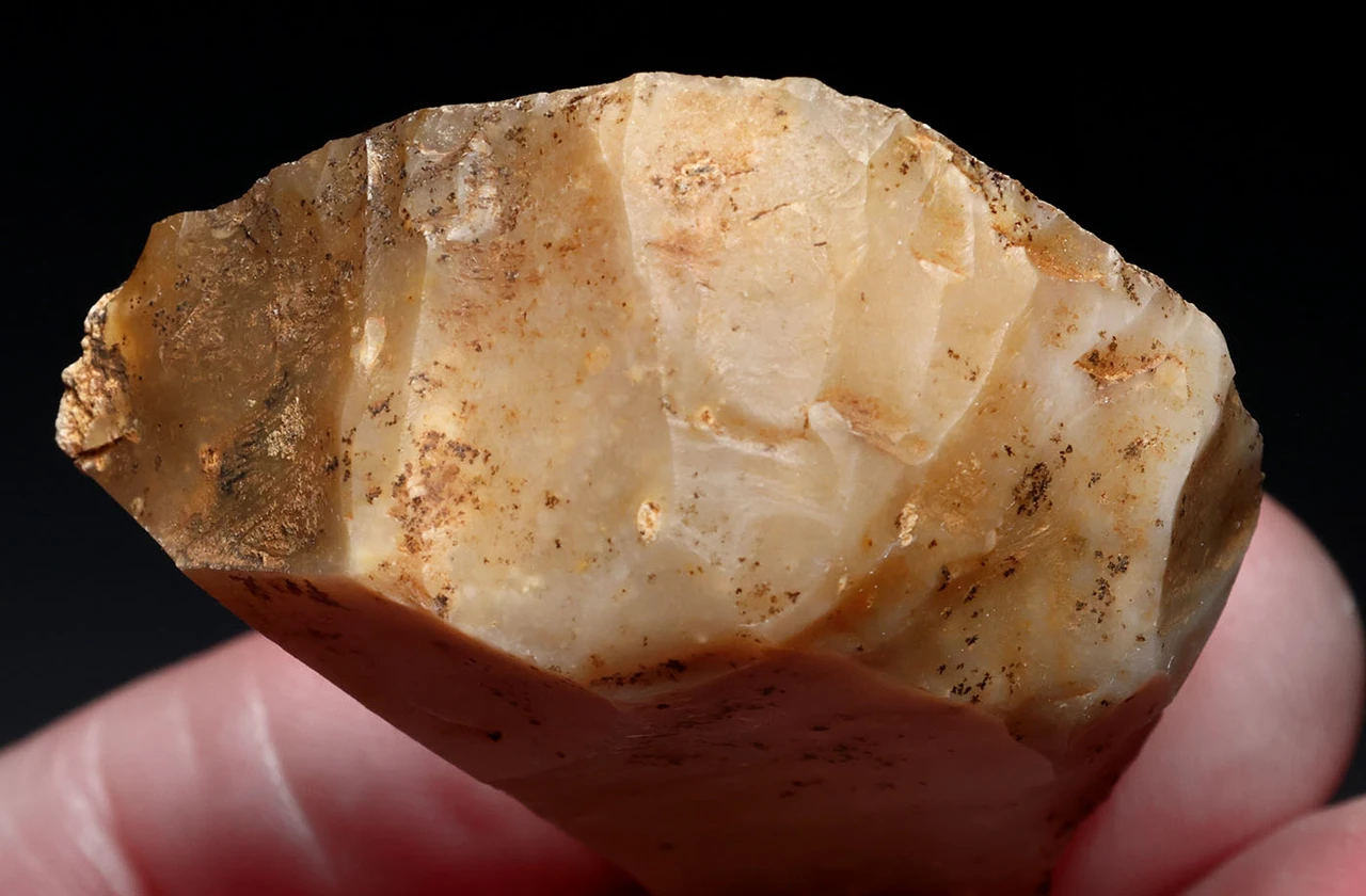 SUPERB CRO MAGNON AURIGNACIAN UPPER PALEOLITHIC FLINT RABOT PLANER FLAKE TOOL WITH BUTCHERED MEGAFAUNA FOSSIL BONE FROM FAMOUS LA GANE SITE IN FRANCE  *UP094