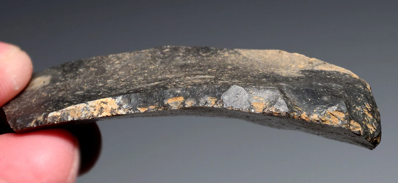 LARGE SUPERB CRO MAGNON AURIGNACIAN UPPER PALEOLITHIC FLINT COMBINATION TOOL WITH BUTCHERED BISON FOSSIL ANGLE BONE FROM FAMOUS LA GANE SITE IN FRANCE  *UP085