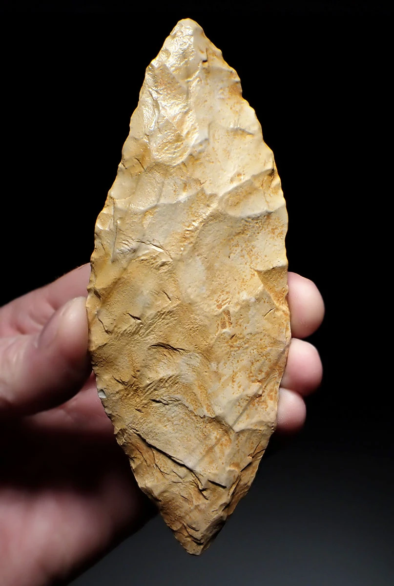 LARGE AFRICAN CAPSIAN NEOLITHIC LEAF BLADE KNIFE MADE FROM PETRIFIED WOOD  *CAP455