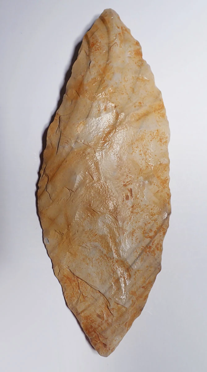 LARGE AFRICAN CAPSIAN NEOLITHIC LEAF BLADE KNIFE MADE FROM PETRIFIED WOOD  *CAP455
