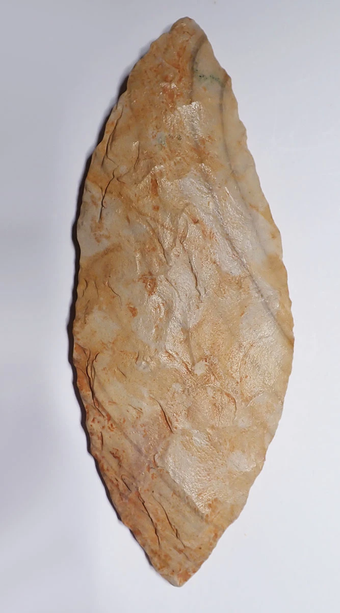 LARGE AFRICAN CAPSIAN NEOLITHIC LEAF BLADE KNIFE MADE FROM PETRIFIED WOOD  *CAP455