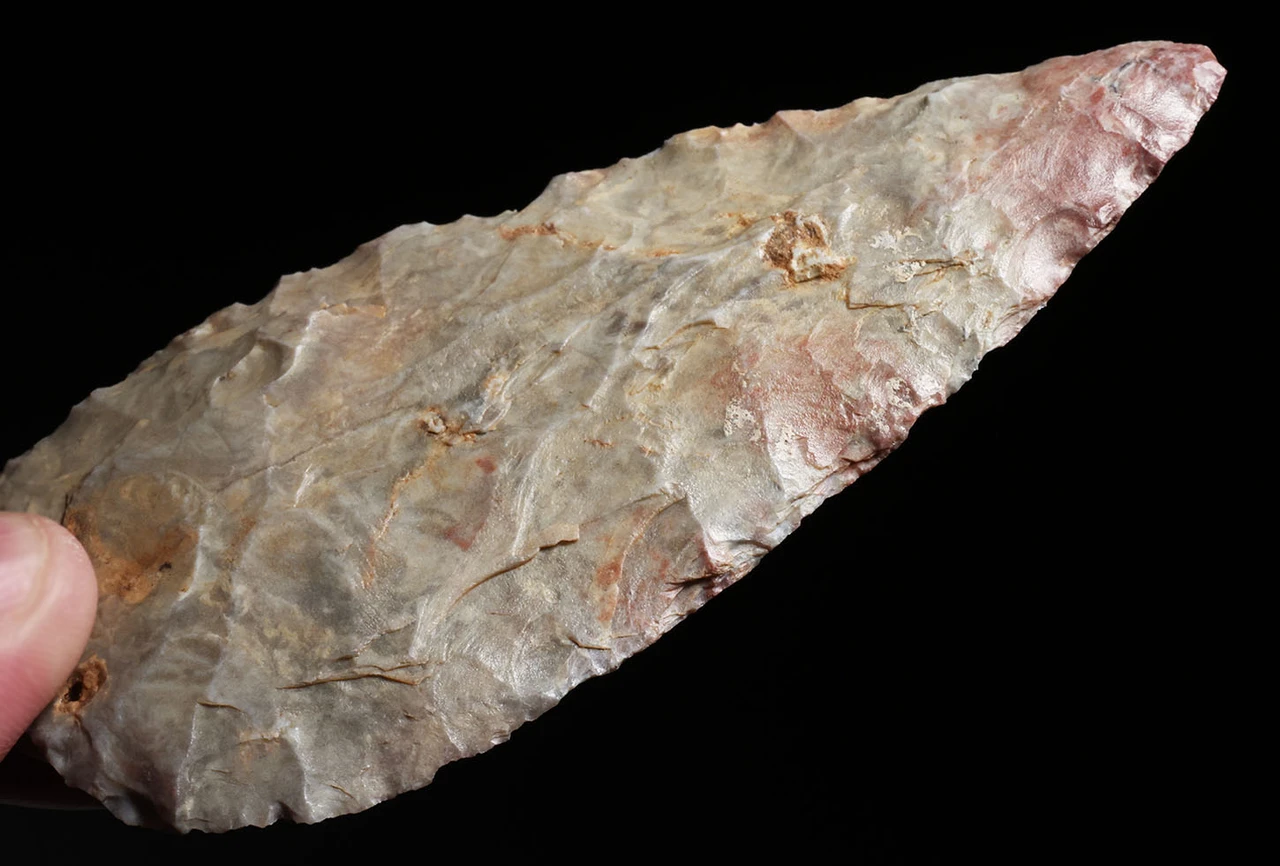 INVESTMENT GRADE LARGE AFRICAN CAPSIAN NEOLITHIC BIFACIAL FLAKED STONE BLADE KNIFE  *CAP501