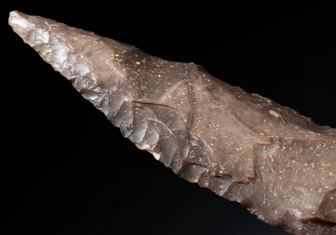 CHOICE LARGE BROWN FLINT AFRICAN CAPSIAN NEOLITHIC BIFACIAL FLAKED STONE BLADE KNIFE  *CAP503