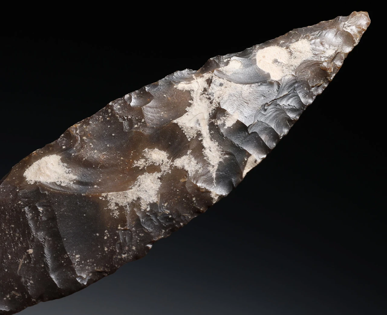 CHOICE LARGE BROWN FLINT AFRICAN CAPSIAN NEOLITHIC BIFACIAL FLAKED STONE BLADE KNIFE  *CAP503