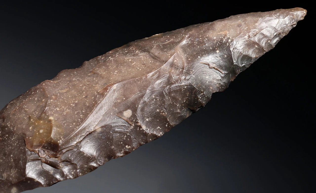 CHOICE LARGE BROWN FLINT AFRICAN CAPSIAN NEOLITHIC BIFACIAL FLAKED STONE BLADE KNIFE  *CAP503