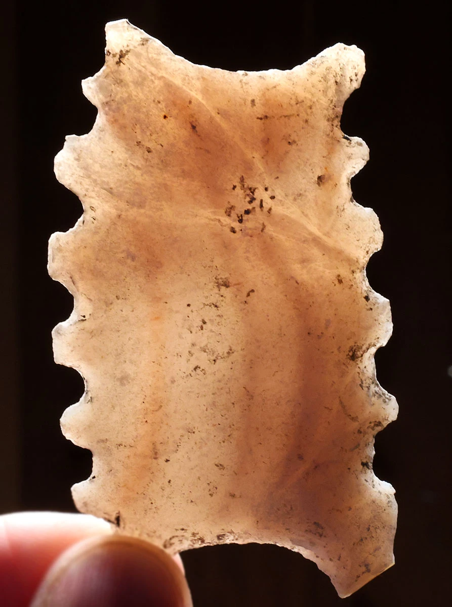 LARGE MAYAN PRE-COLUMBIAN ABSTRACT FAT CENTIPEDE STONE ECCENTRIC EFFIGY  *PC715