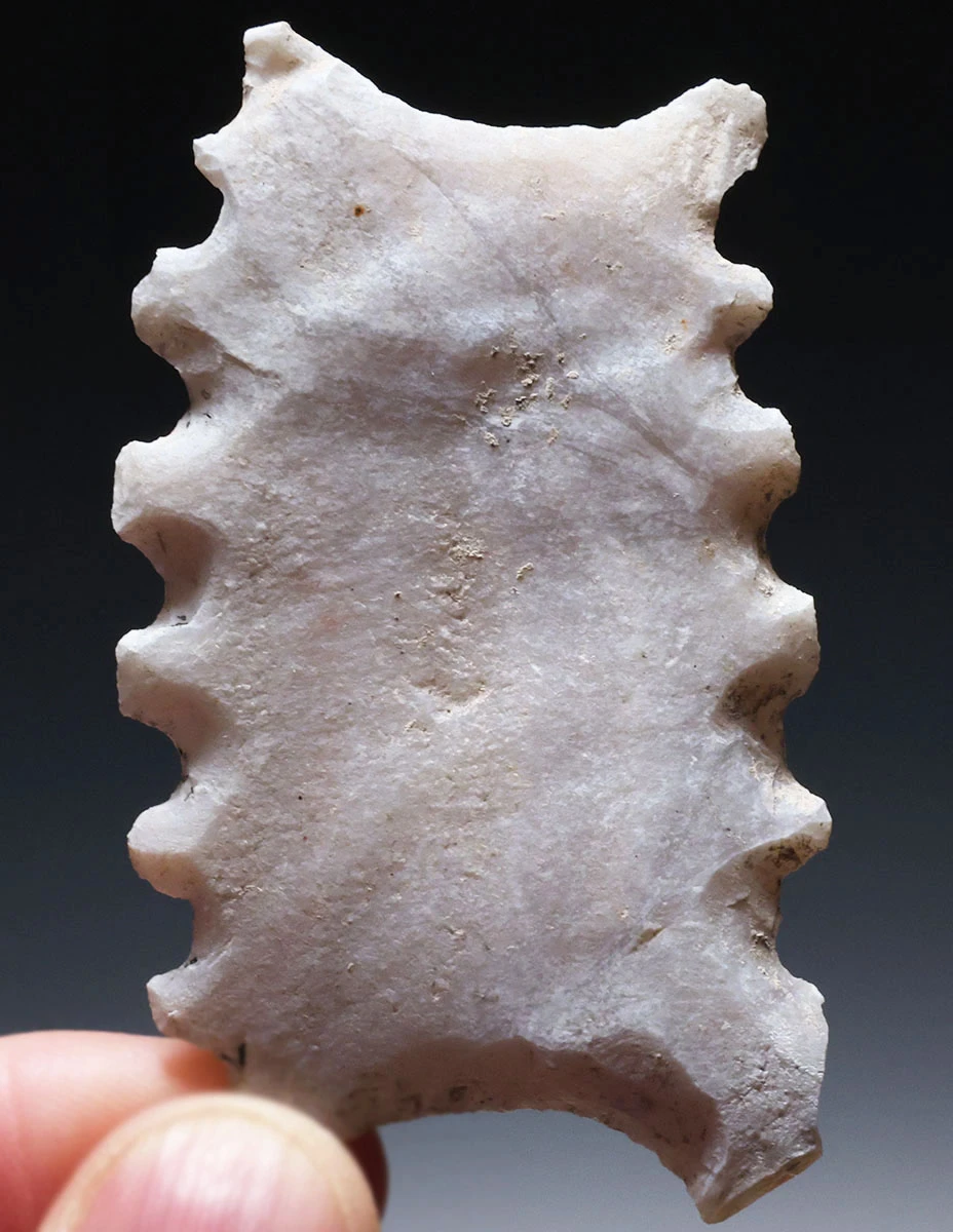 LARGE MAYAN PRE-COLUMBIAN ABSTRACT FAT CENTIPEDE STONE ECCENTRIC EFFIGY  *PC715