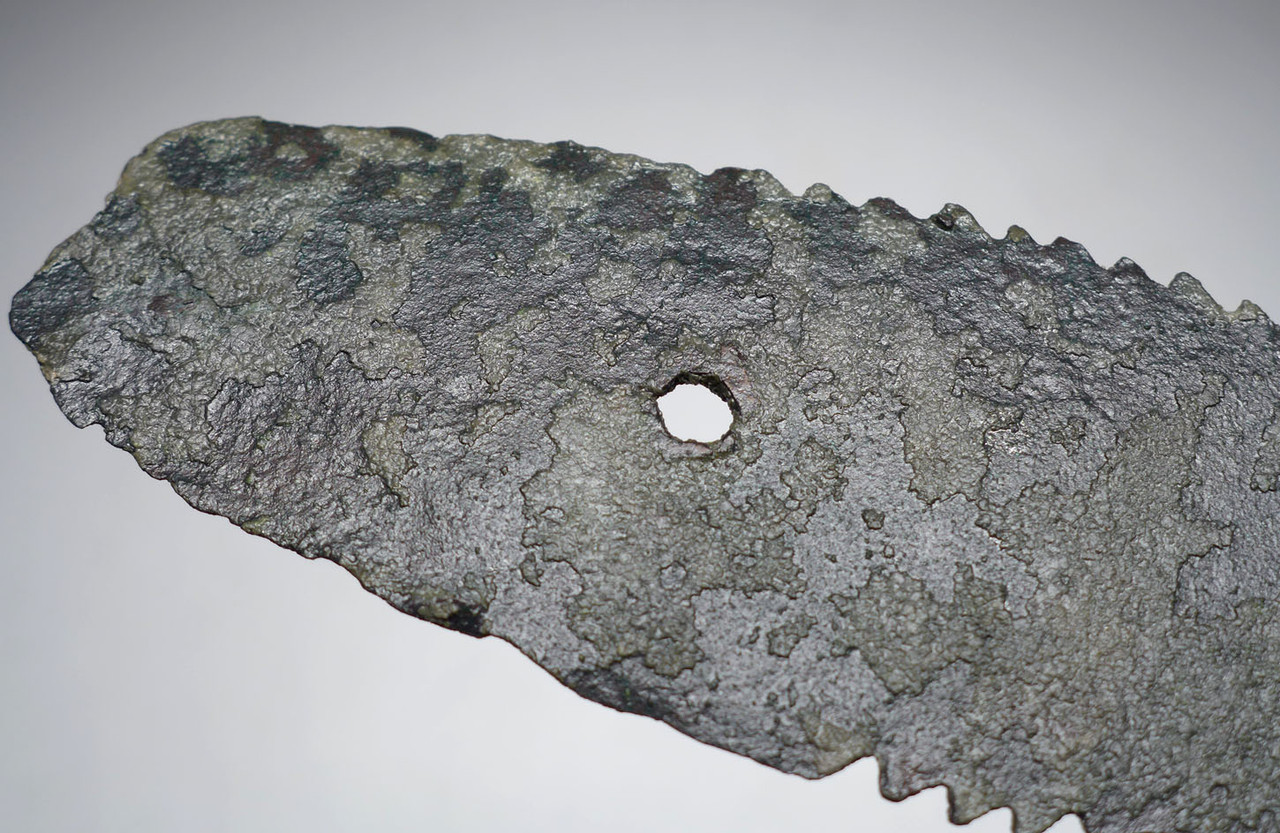 FAMOUS PROVENANCE RARE BRONZE AGE MEDICAL SURGICAL BONE SAW FOR AMPUTATION FROM ANCIENT SWITZERLAND'S TUMULUS CULTURE  *CEL032