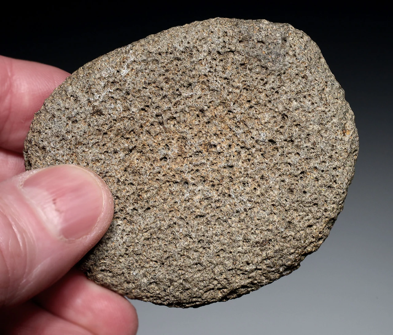 RARE TENERIAN NEOLITHIC MEDICINAL AND BODY PAINT GRINDING MILL AND RUBBING STONE FROM THE PEOPLE OF THE "GREEN SAHARA"  *CAP498