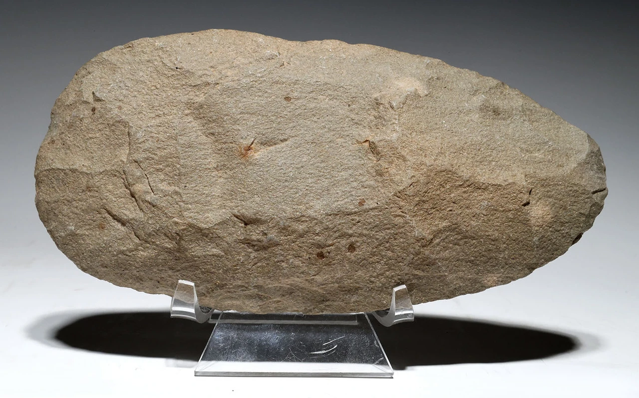 EXCEPTIONAL AND LARGE THIN STONE CELT WAR AXE FROM THE AFRICAN CAPSIAN NEOLITHIC  *CAP500